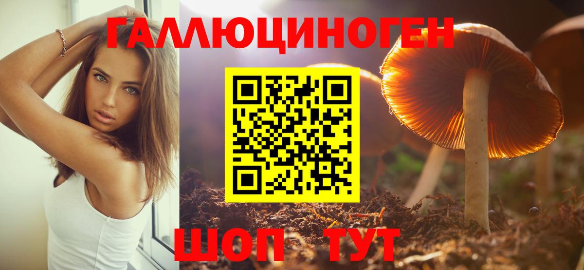 Псилоцибиновые грибы GOLDEN TEACHER Керчь