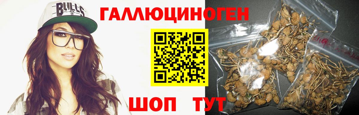 Галлюциногенные грибы Magic Shrooms  Вход с VPN  Керчь  Галлюциногенные грибы Psilocybe 