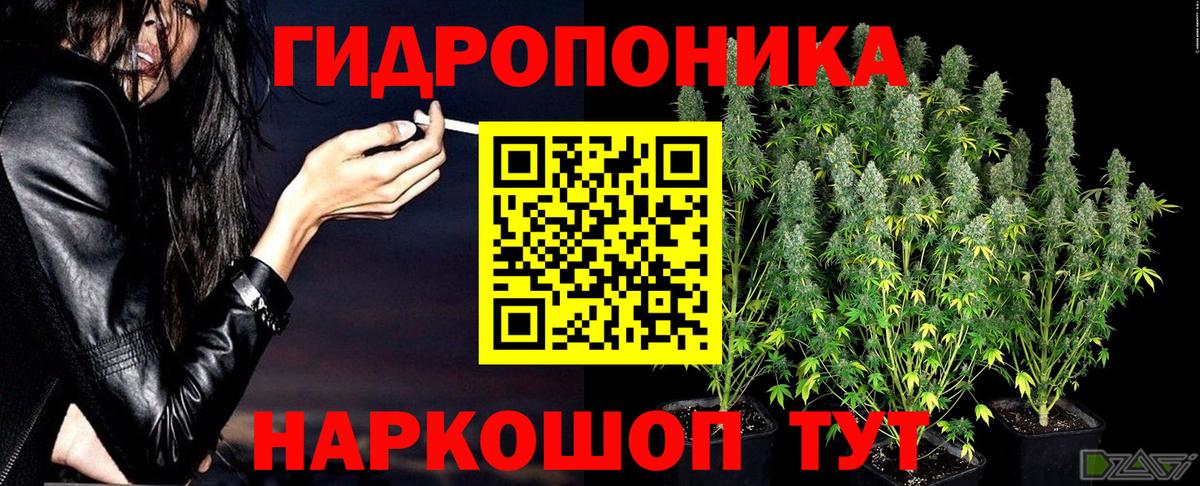 Каннабис план Керчь